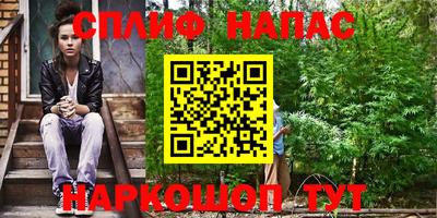 крисы Беслан