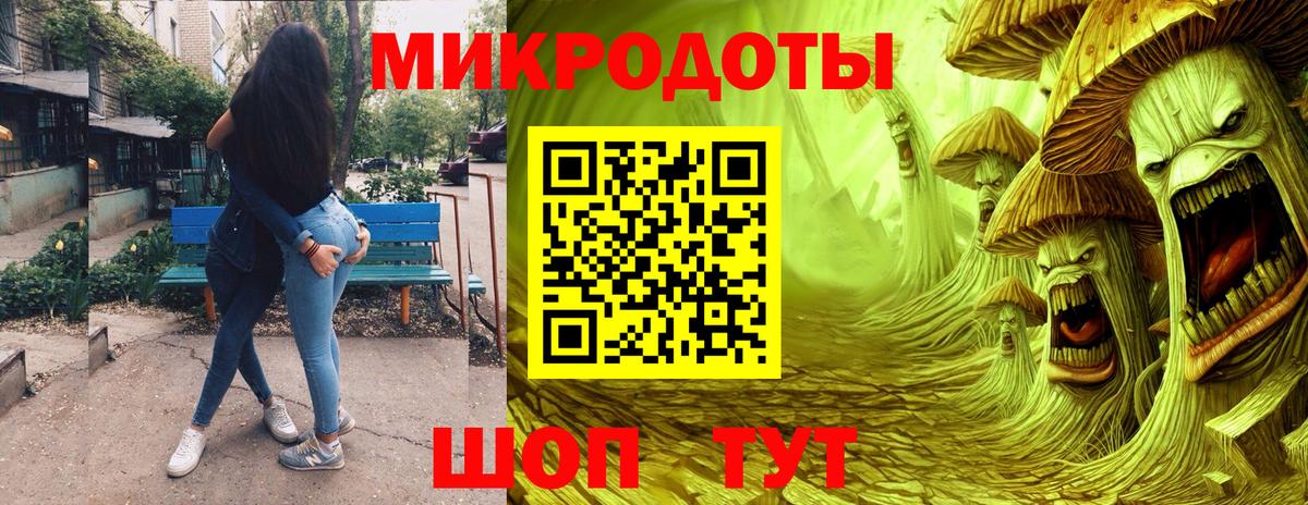Галлюциногенные грибы Psilocybe Карталы